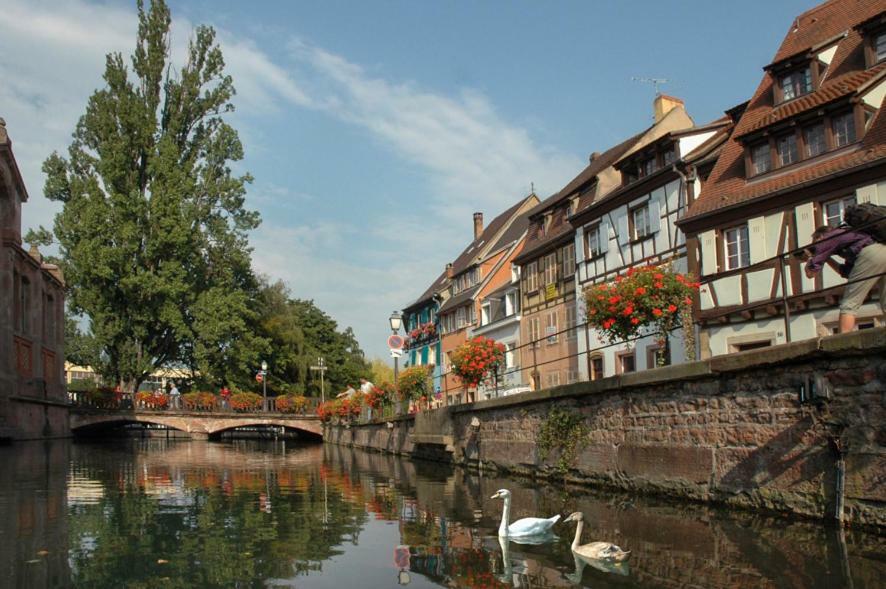 Ferienwohnung Au Buisson De Roses Colmar Exterior foto